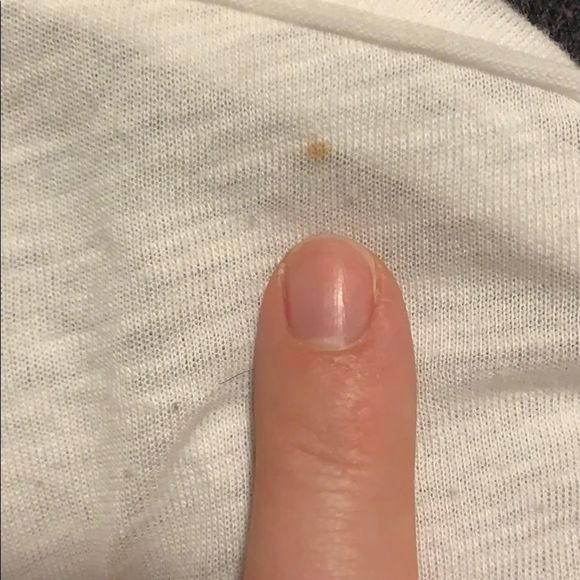 We The Free Sienna Tee - Picture 6 of 6